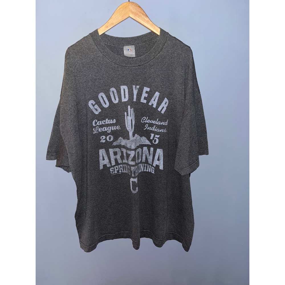 Goodyear Arizona Spring Training Cleveland Indians 2015 T-Shirt Men's Large Gray